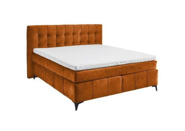 ED EXCITING DESIGN Boxspringliege (160 x 200 cm, Oregon), Orange