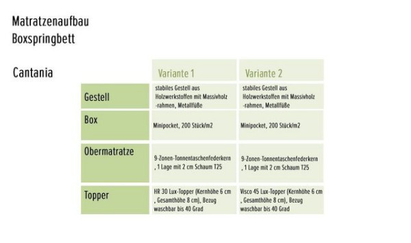 ED EXCITING DESIGN Boxspringliege (180 x 200 cm, Cantania), Grün