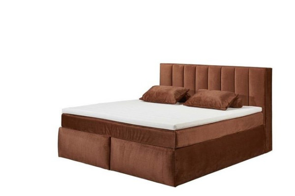 ED EXCITING DESIGN Boxspringliege (200 x 220 cm, Montera), Kupfer